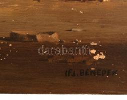 Ifj. Benedek Jenő. (1939 - ): Őszi nap. Olaj, farost, jelzett, sérült, 29×39 cm