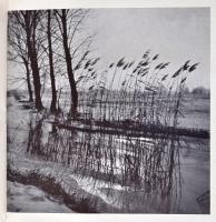 Magyar fényképezés 1939. Szerk.: Rosner Károly. Bp., [1939], Officina. Négynyelvű kiadvány. Kicsit l...