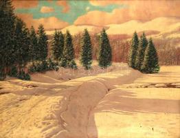 Olgyai Viktor (1870-1929): Téli táj. Olaj, vászon, festék lepattanásokkal, blondelkeretben, 60×80 cm