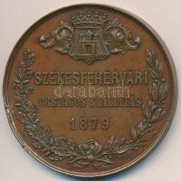 1879. "Székesfehérvári Országos Kiállítás" Br emlékérem (50mm) T:2 ph., patina