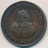 1894. "Saxlehner András Hunyadi János Forrás / VIII. Nemzetközi Közegészségi és Demográfiai Congress - Kirándulás 1894 szept. 3.-án" Br emlékérem (25mm) T:2