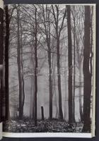 Photographia Hungarica. Mai magyar fotóművészet. Szerk.: Szántó Tibor. [Bp.], 1971, Magyar Helikon. ...