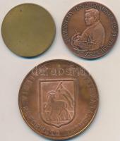 Szántó Gergely (1886-1962) 1927. "Királyi Magyar Egyetemi Nyomda" egyoldalas Br emlékérem ...