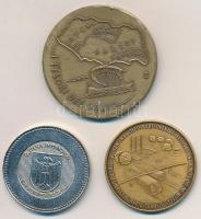 Olaszország DN "Aenes in Latinum / I Tesori Del Lazio" Br emlékérem (50mm) + Amerikai Egye...