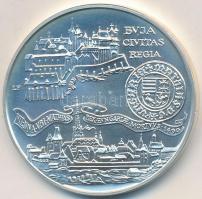 1990. 500Ft Ag "Mátyás Király - Buda" T:BU
Adamo EM114