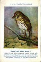 A Madártani Intézet kliséi Csörgey T. szignójával; Kis poszáta, Kerti rózsafarkú, Énekes rigó / Hung...