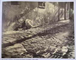 Simon Mihály: Összehasonlító magyar fotótörténet. Bp., 2000, Magyar Fotográfiai Múzeum (A magyar fot...