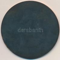 1985. "Takács Károly Emlékverseny" Br díjérem(?) (81,5mm) T:2