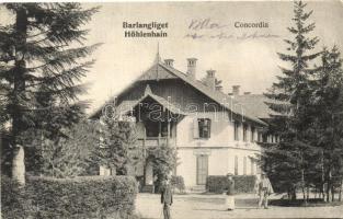 Tátra, Barlangliget, Bad Höhlenhain; Concordia, Fejes Bertalan üzlete, Britz Berta felvételi tulajdona  / hotel, shop