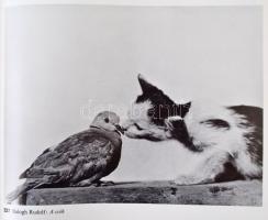 Leletek. A magyar fotográfia történetéből. Vál.: Szilágyi Gábor, Kardos Sándor. Bp., 1983, Képzőművé...