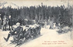 Tátra, Téli élet, szánkózók / winter sport, sledding people  (EK)