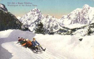 Tátra, Téli élet, szánkózók / winter sport, sledding people