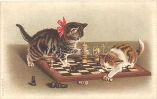Cats playing with chess A & M.i.B. No. 607. litho (cut)
