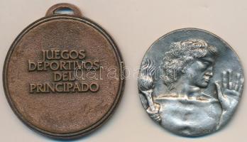 Olaszország DN "Olasz Nemzeti Olimpiai Bizottság" olasz nyelvű ezüstözött Br emlékérem. Sz...