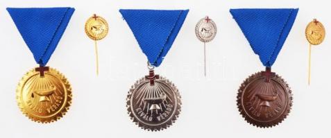 ~1970-1980. "Kiváló Véradó" arany fokozat miniatűrrel, sérült, ragasztott dísztokban + &qu...