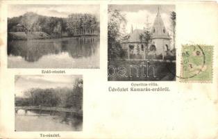 Horgos-Kamaráserdő; Gyuritza villa, erdő és tó részlet / villa, forest, lake (EK)