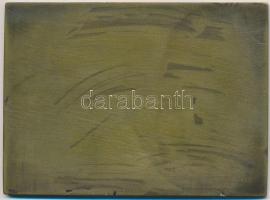 1935. "Székesfehérvár Szabad Királyi város 1935. jún. 17." Br plakett (62x85mm) T:2 apró p...