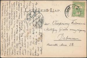 Gyergyószentmiklós, Gheorgheni; Csergői villa, kiadja Kricsa Péter / villa (EK)