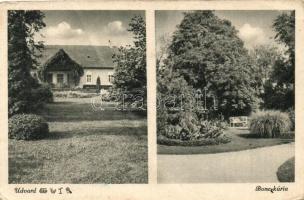 Udvard, Dvory nad Zitavou; Boncz kúria / villa (EB)