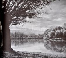 Radics Vilmos: Képszerkesztés, sajtófotó. [Bp.], [1984], MÚOSz. Vászonkötésben, papír védőborítóval,...