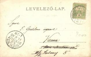 1902 Budapest I. Budai VI. sz. Vásárcsarnok, Wirth Antal, Mátrai Ignácz, Wohlmuth A. és Petz Ágoston...