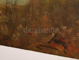 Olvashatatlan jelzéssel: Gólyák. Olaj, farost, 32×42 cm