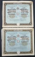 Budapest 1926. "Magyar Ruggyantaárugyár Részvénytársaság" 2 részvénye egyben, egyenként 20P-ről szelvényekkel (2x) T:III