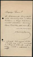 1916 Nyárádi Erazmus Gyula (1881-1966) erdélyi botanikus és író saját kezű levele és aláírása, 21x12cm