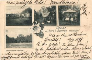 1899 Ács, Ős-Budavári ünnepély, kiadja Spitzer Sándor, floral (vágott / cut)