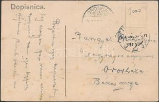 Bród, Slavonski Brod; Vár, Várkapu / fortress, gate, floral (kis szakadás / small tear)