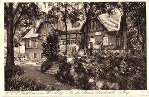 16 db RÉGI külföldi városképes lap, vegyes minőség / 16 old European town-view postcards, mixed quality