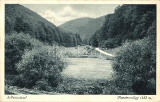 20 db RÉGI történelmi magyar városképes lap, vegyes minőség / 20 old historical Hungarian town-view ...