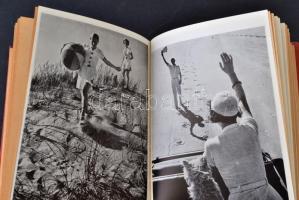 Hevesy Iván: A fényképezés technikája. Bp., [1941], HAFA. Vászonkötésben, jó állapotban