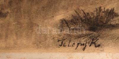 Telepy jelzéssel: Erdőrészlet. Szén, papír, üvegezett keretben, 50×40 cm