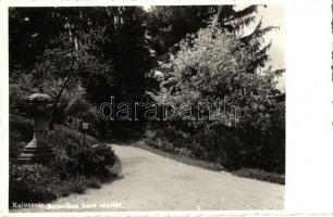 Kolozsvár, Cluj; Botanikus kert / botanical garden