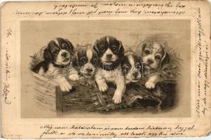 Dogs, A.G.M. 1569. litho (EK)