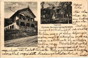 Borosznó-gyógyfürdő, Brusno-kúpele; Cornélia-lak, Lajos-lak. Kiadja Lechnitzky Otto / villas