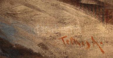 Telkes jelzéssel: Téli utca. Olaj, vászon, keretben, 57×76 cm