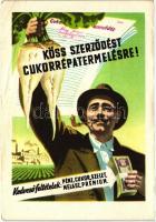 Köss szerződést cukorrépa termelésre!; Mezőgazdasági Kiállítás 1955 / advertisement of Sugar beets production (EB)