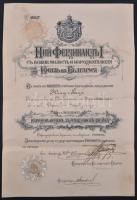 Bulgária 1898. "Bolgár Polgári Érdemrend" kitüntetés adományozói okirata szárazpecséttel T:III Bulgaria 1898. "Bulgarian Order of Civil Merit" awarding document with embossed stamp C:F