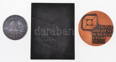 1958. "Budapesti Ipari Vásár 1958. II. díj" egyoldalas fém díjplakett (85,5x115mm) + 1979....