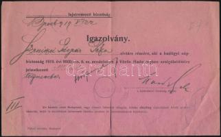1919 Igazolvány a Tanácsköztársaság idejéből, lajstromozó bizottság, kis szakadással, 15x24cm