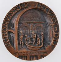 Miletics Katalin Janka (1942-) 2012. "Schönvisner István-díj" Br emlékérem eredeti, kissé ...