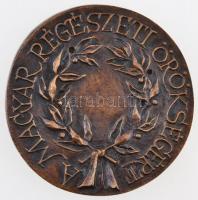 Miletics Katalin Janka (1942-) 2012. "Schönvisner István-díj" Br emlékérem eredeti, kissé ...