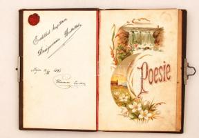 1893-1899, Régi csatos emlékkönyv, szecessziós díszítéssel. Litográfiás illetve ceruzás illusztráció...