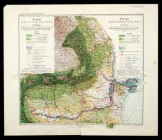 1914 Romániai vegetációs zónák térképe 1:1 500 000 /  1914 Romania map of the vegetation zones. P. Enulescu. 45x52 cm