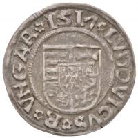 1517K-G Denár Ag "II. Lajos" (0,5g) T:2
Huszár: 841., Unger I.: 673.m var