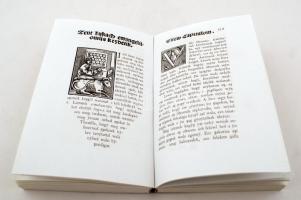 Pesthy-Pesti Gábor, Gábriel: Biblia - Újszövetség Novum Testamentum seu quattour euangelioru[m] volu...
