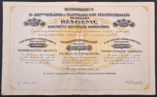 Budapest 1923. "Dr. Just-féle Izzólámpa és Villamossági Gyár Részvénytársaság" 25 részvénye egyben, egyenként 200K-ról, szelvényekkel, magyar, francia és német nyelven T:III