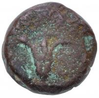 Hasmoneus-dinasztia / Jeruzsálem / Johannesz Hürkánosz Kr. e. 135-104. Prutah Cu, tanúsítvánnyal (2,...